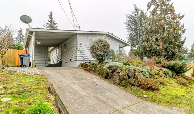 Driveway up to the carport.