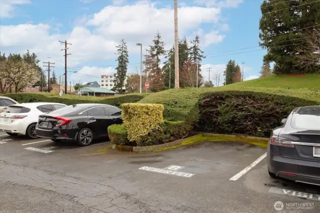 This unit's designated parking spot (#8) is across from the building. There are visitor spots as well.