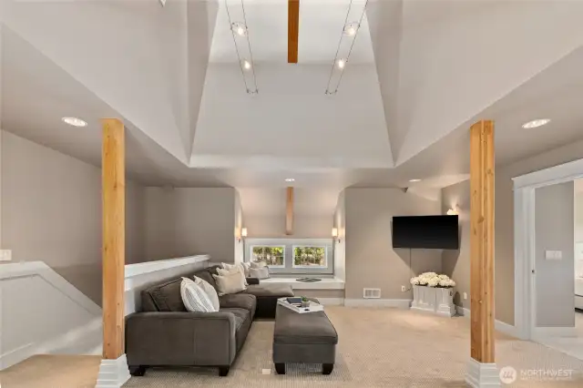 bonus room TV room