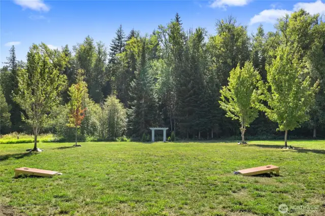 backyard