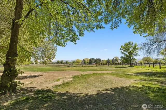 South portion of the yard...possibilities are endless with this acre close to town