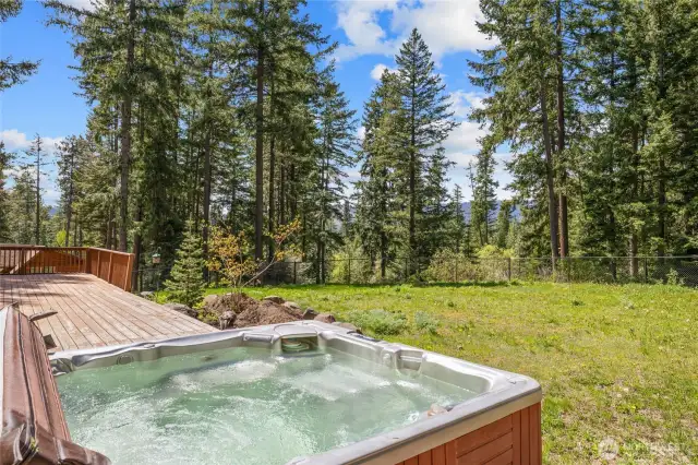 Hot tub with mountain views! Not another home in sight. Just trees & mountains.