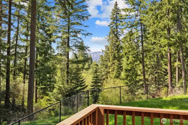 Back Deck Mountain Views.