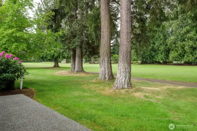 From West Patio looking south west over the 4th green