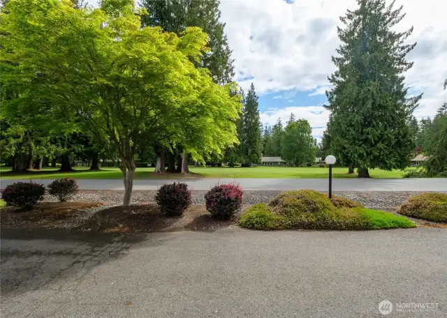 Looking out of the driveway