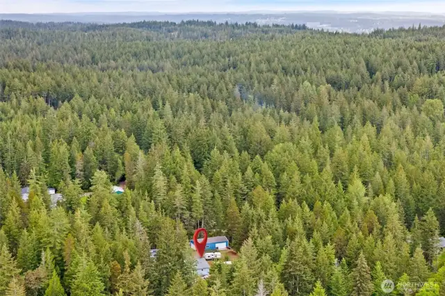 Location central to Bremerton and Silverdale. In the top right of the photo is Saint Michaels Hospital in Silverdale