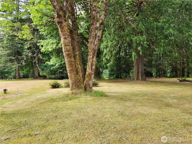 Community park on the Dosewallips River