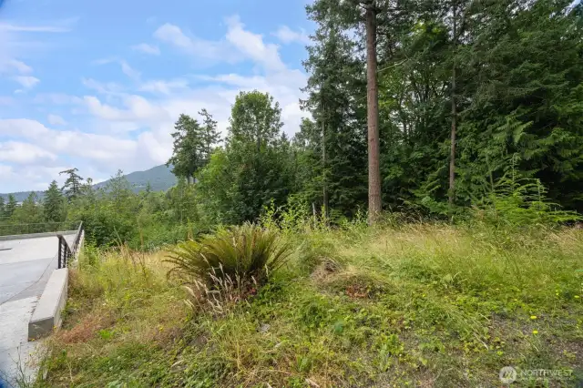 Looking from the road at the property.