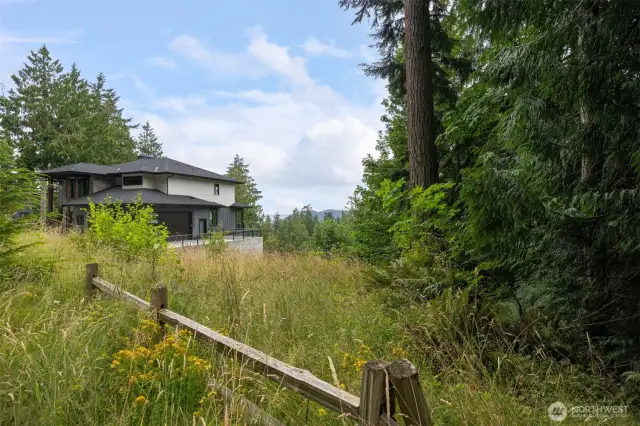 Looking along the southside property line.