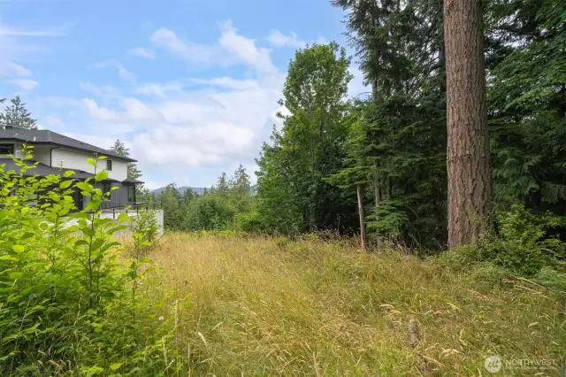 The property from the street.