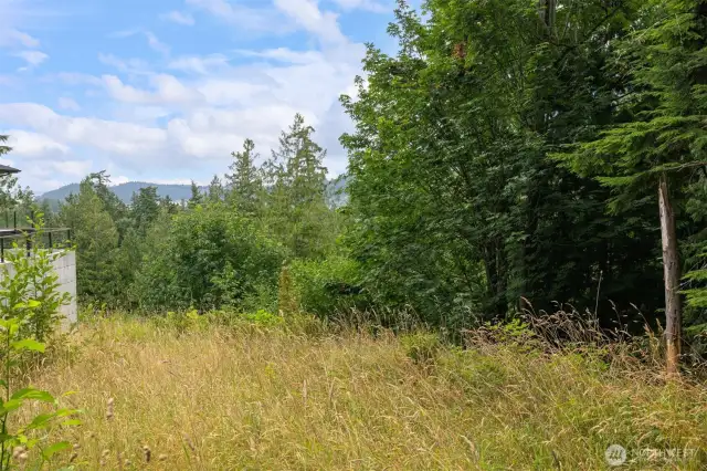 Another view of the property.