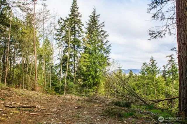 The views from 20 years ago when it was cleared.