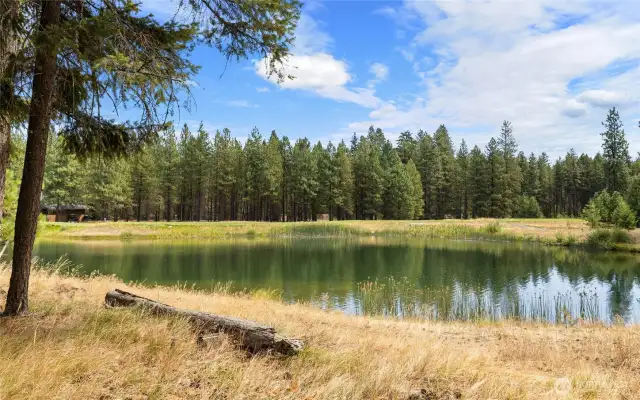 Pond behind the property