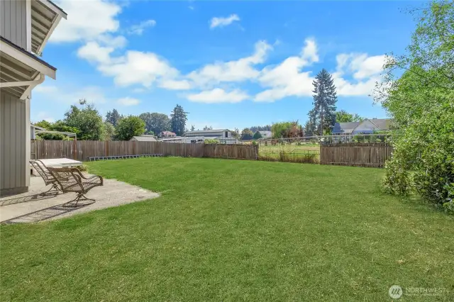 Side yard, grass has been photoshopped to look green.