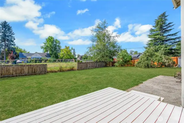 Back yard with deck for entertaining. Grass has been photoshopped to be green.