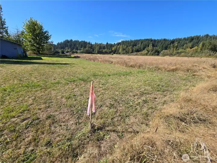 Southeast corner of property looking northwest.