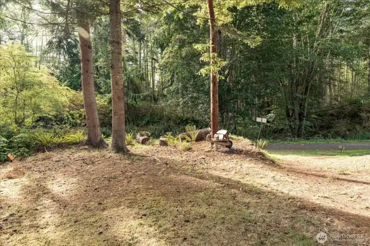 Front Yard