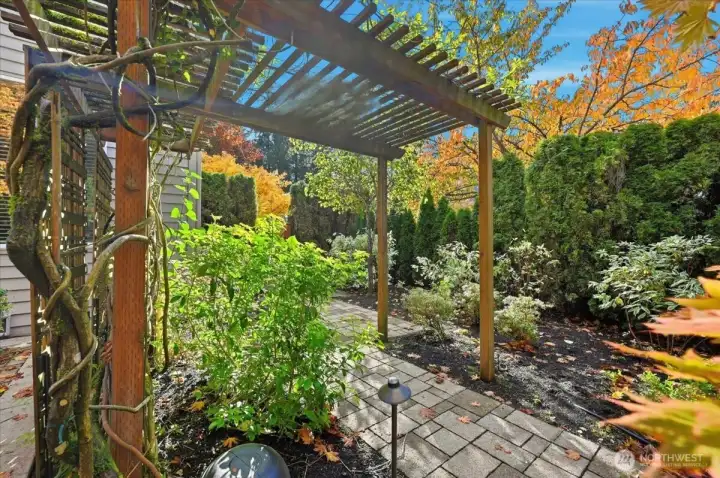 Fall Arbor scene pictured here