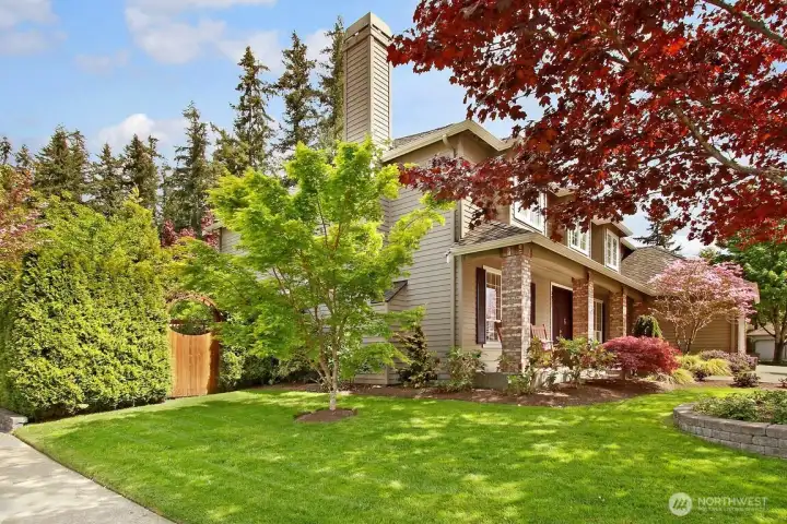 Late Spring side yard!