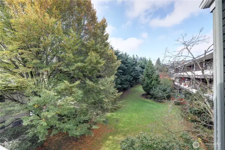 Back lawn/garden area provides privacy from your back deck