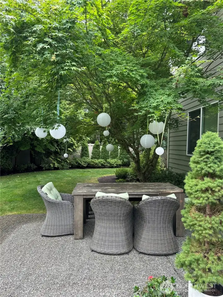 The backyard looks amazing in the spring and summer.