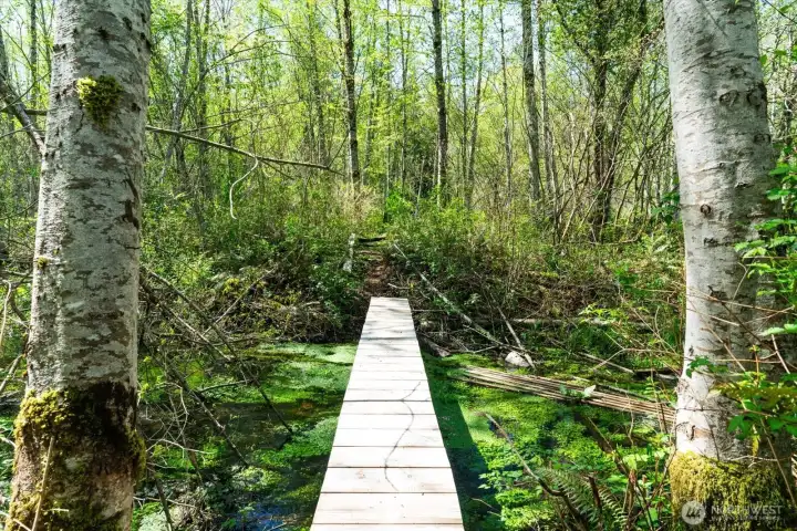 Future impressive entrance with a bridged driveway over the creek, approved easement to enter from Mountain View Blvd SE.