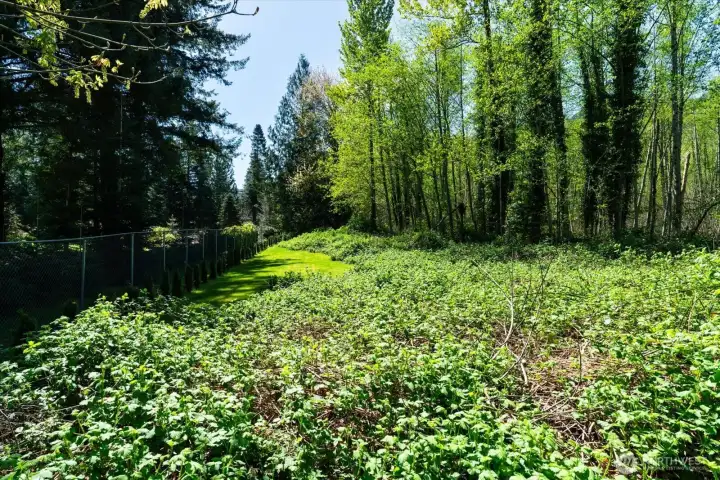 Additional level area that may support building other home, garage or DADU