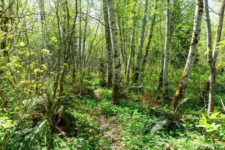 This remarkable property offers a serene environment, immersed in natural beauty and serving as the ideal escape from the hustle and bustle of daily life.
