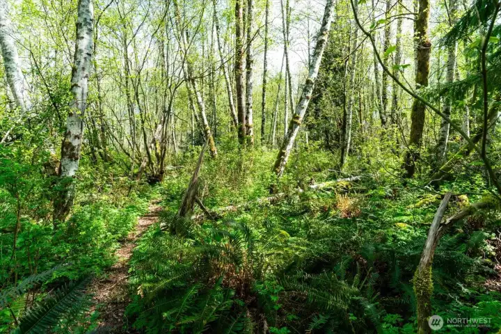 Plenty of room to create your own private oasis with 10.38 acres of privacy.