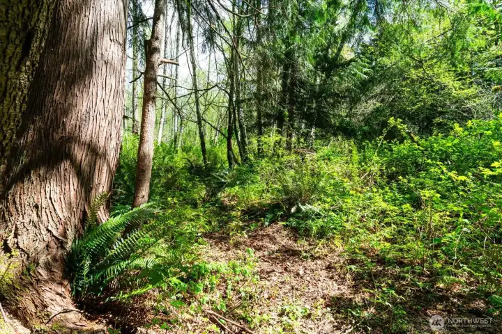 This unique setting offers a sense of timeless beauty and privacy as you enjoy nature’s splendor right outside your window