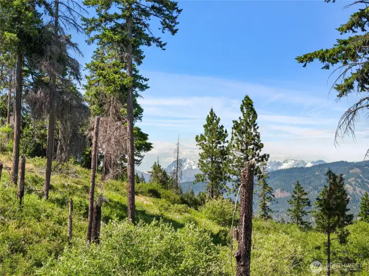 Venture to the top of the property and be rewarded with sweeping views of the surrounding landscape.