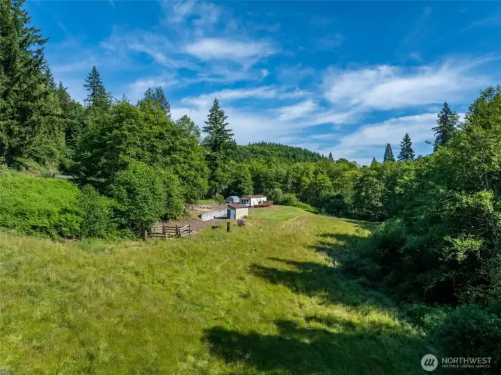 Beautiful Pasture