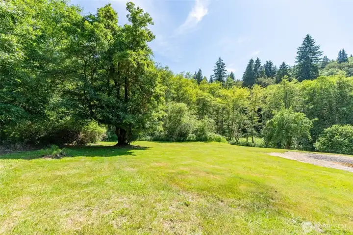 Fruit trees and open spaces