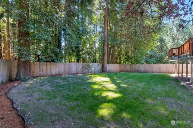 Enjoy your own park in this fully fenced peaceful back yard.