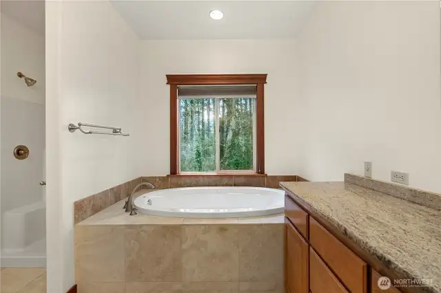 Primary Jetted Tub