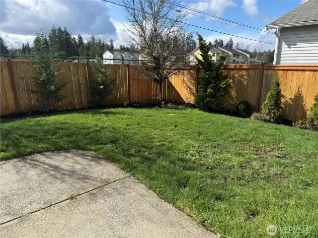 Landscaped back yard