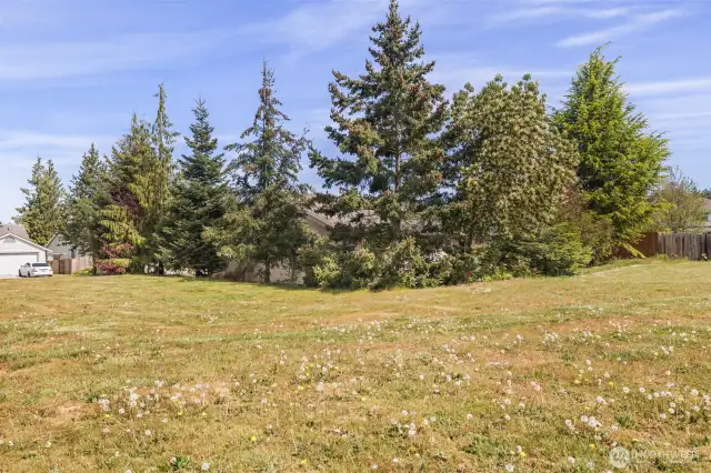 Green space to West of Property