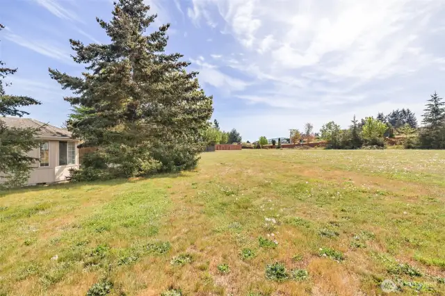 Greenspace behind property