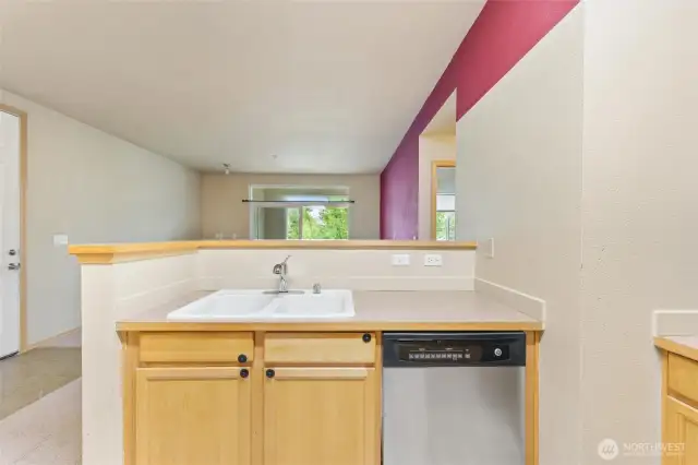 Kitchen Dishwasher