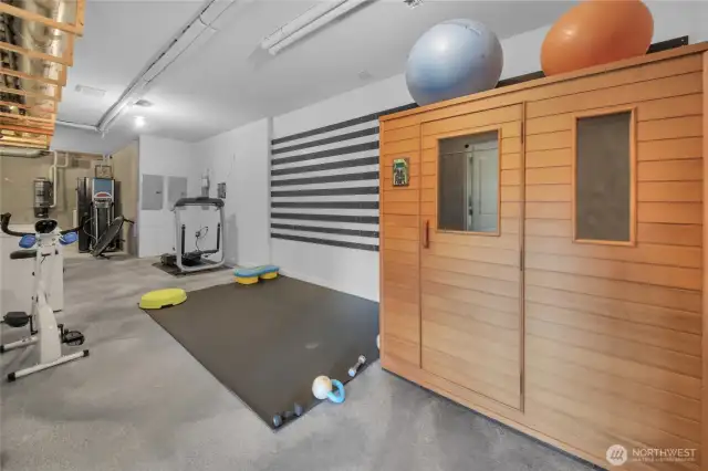 Lower level gym and sauna. . .