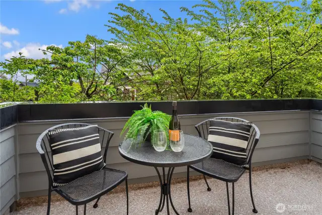 Just off the main living room is this private deck with territorial views, Cascade mountain views and even the Bellevue skyline!