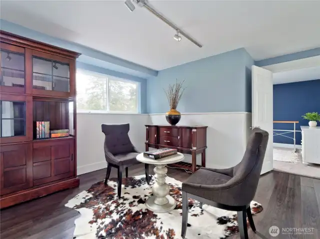 Lower level family room