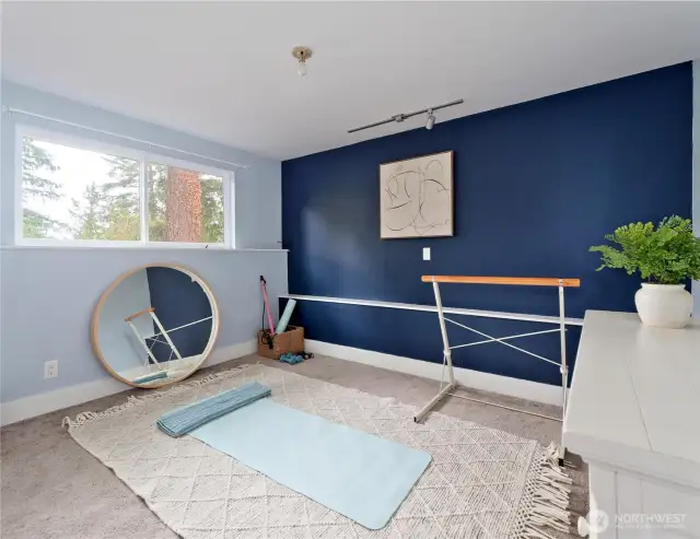 4th bedroom (lower level)