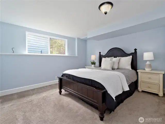 5th bedroom (lower level)