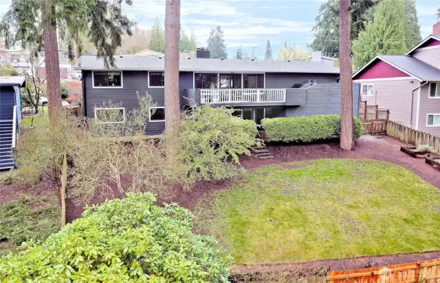 Huge backyard