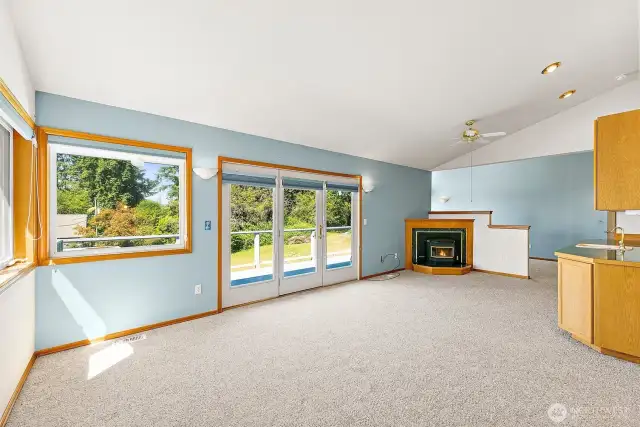 Another Primary View with Pellet Stove Too!