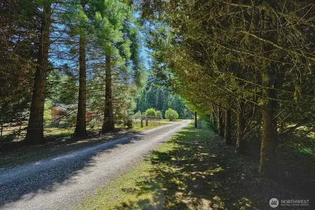 Beautifully wooded driveway welcomes you home.