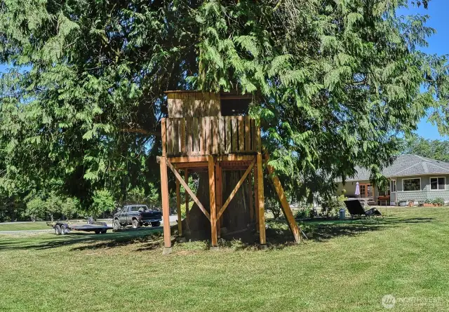 Treehouse!