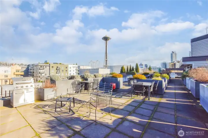 View from Community Rooftop Terrace