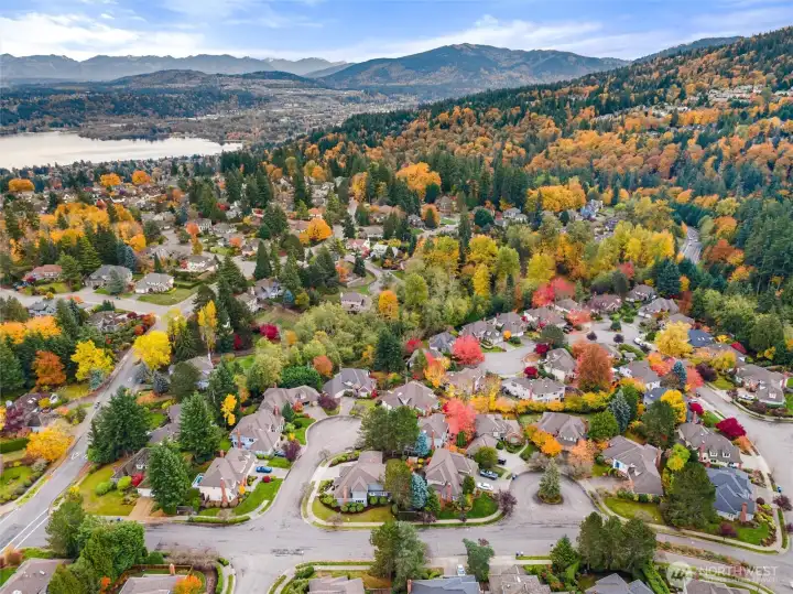 Sweeping Eastside aerial highlighting Bellevue’s tree-lined neighborhoods and scenic landscape.
